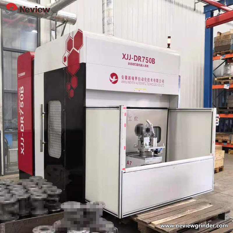 Neview Grinding Robot Machine DR-750B